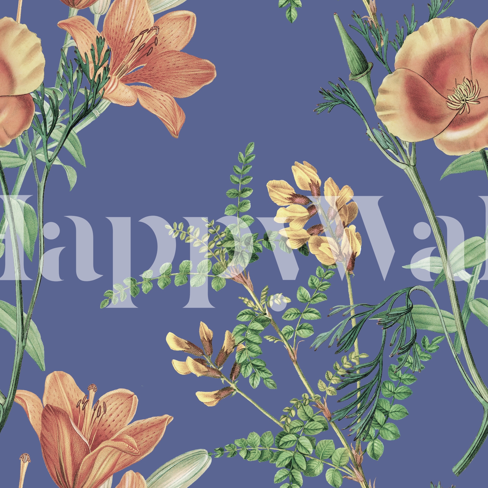 Blue and Orange Flowers Wallpaper Buy Online at Happywall