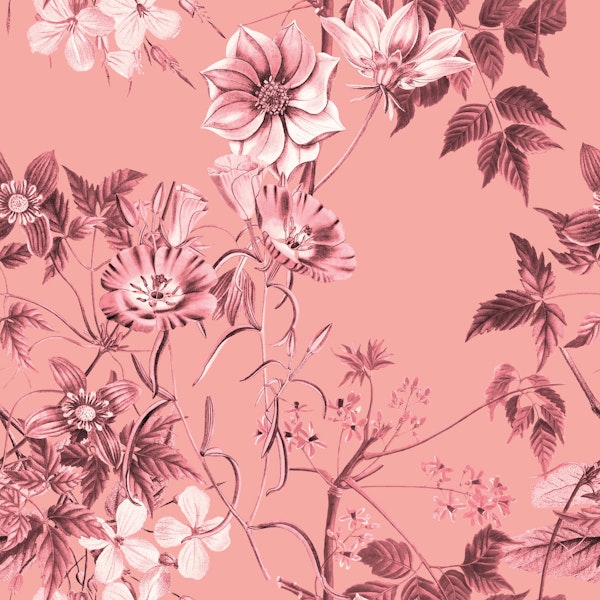 Pink Blush Floral Pattern