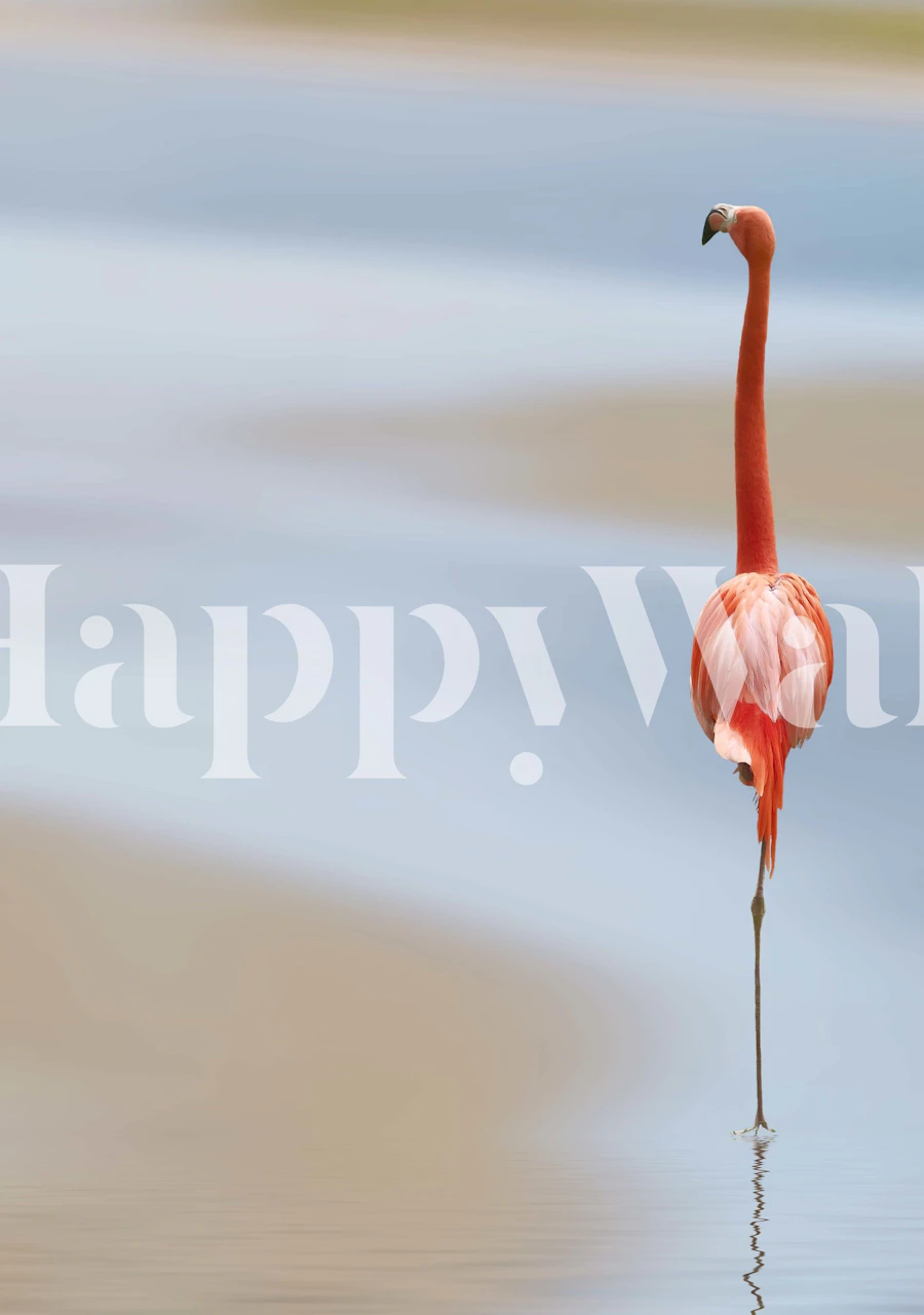 Dizajn tapete s flamingom u sobi