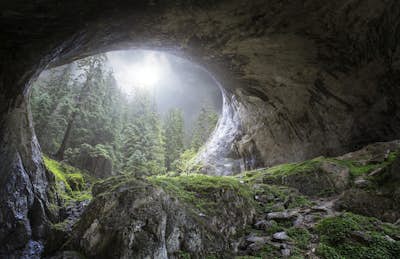 Τοιχογραφία