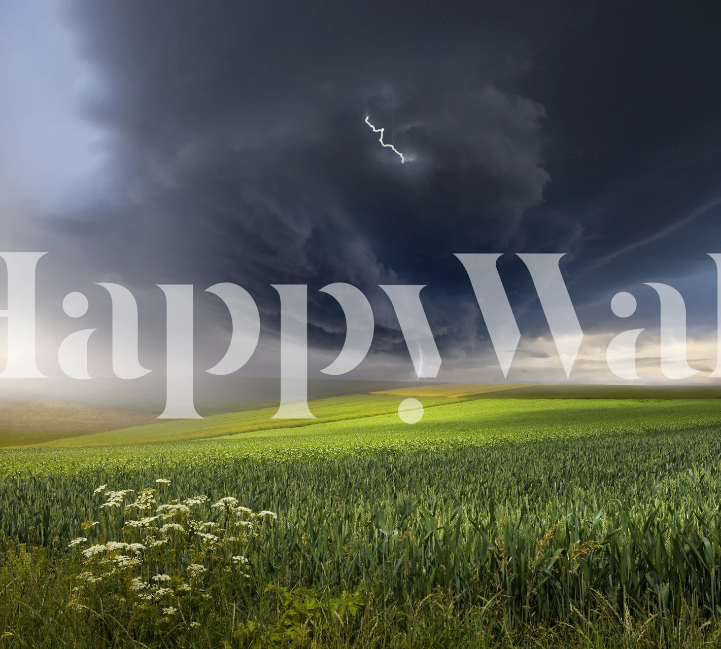 Dramatic June storm with lightning over a green field wall mural