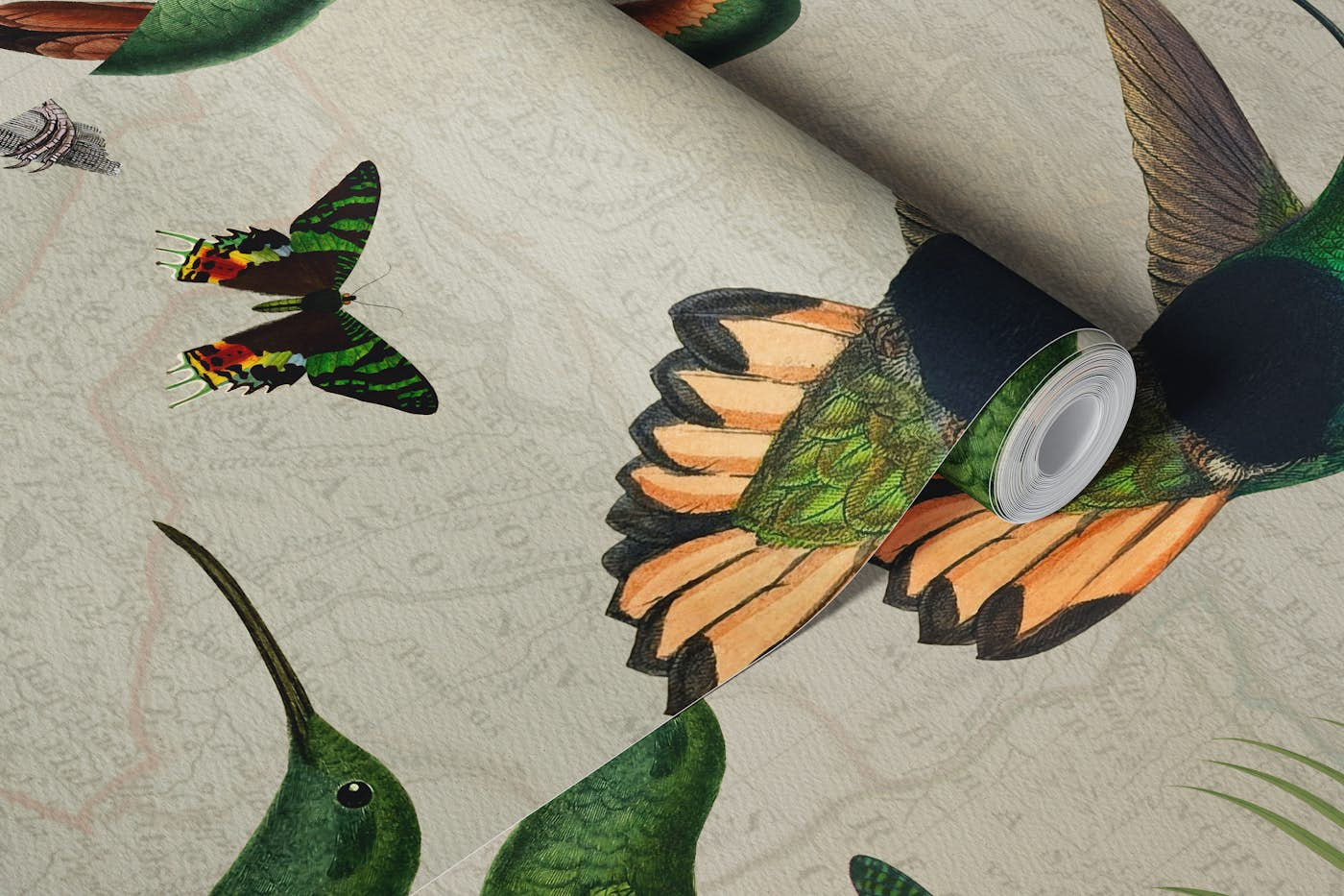 Vintage Exotic Hummingbirds Jungle wallpaper roll