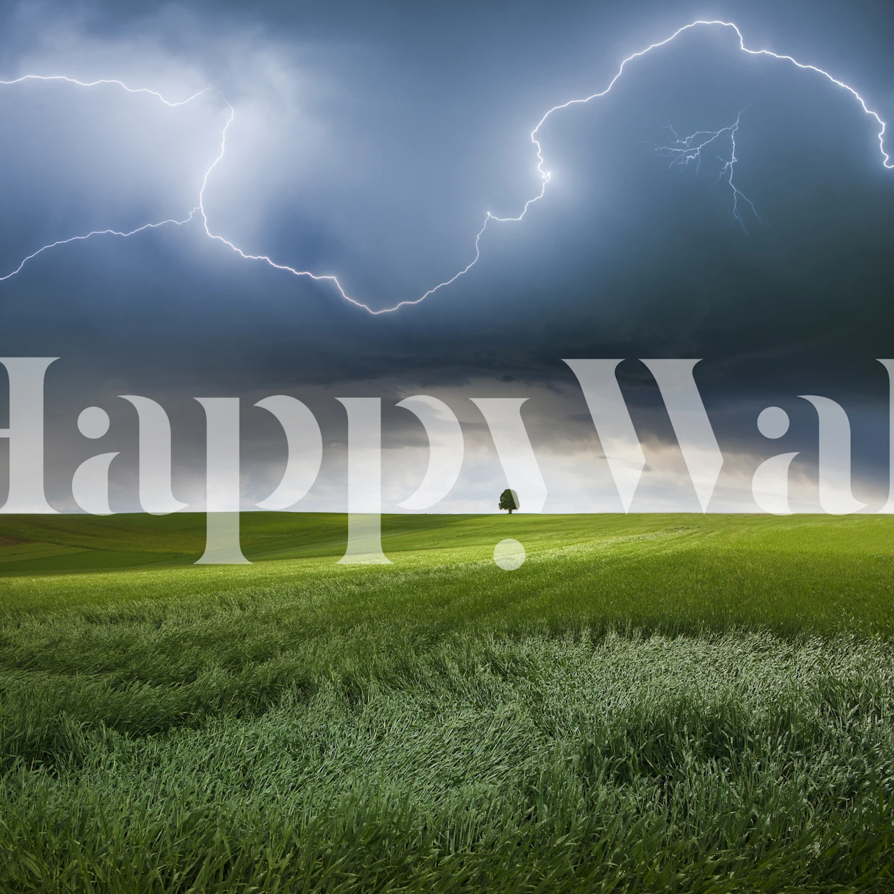 Murale tempesta estiva con fulmini sul campo verde