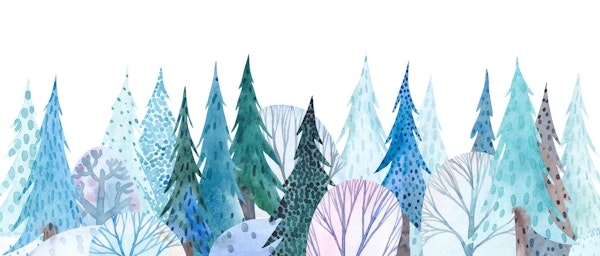 Magical winter forest