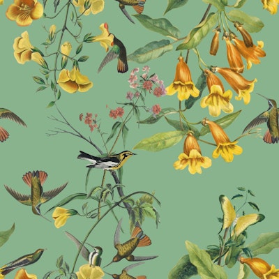 Pattern