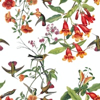 Vibrant Hummingbird Garden tapet
