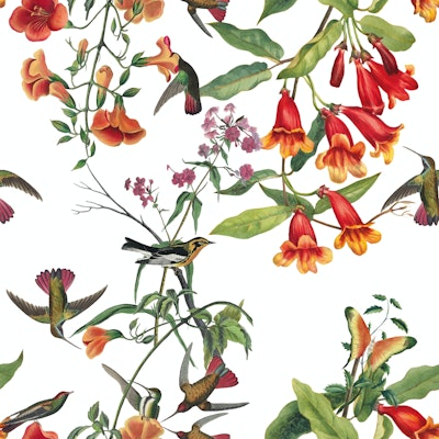 Pattern