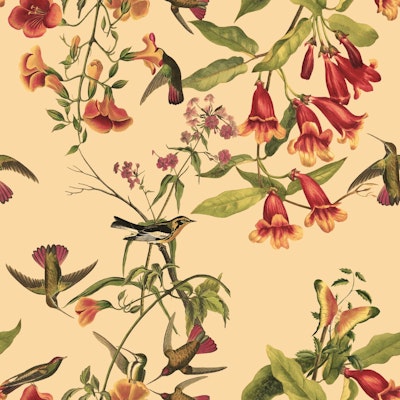 Pattern