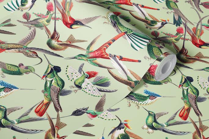 Hummingbirds by Ernst Haeckel Patternwallpaper roll