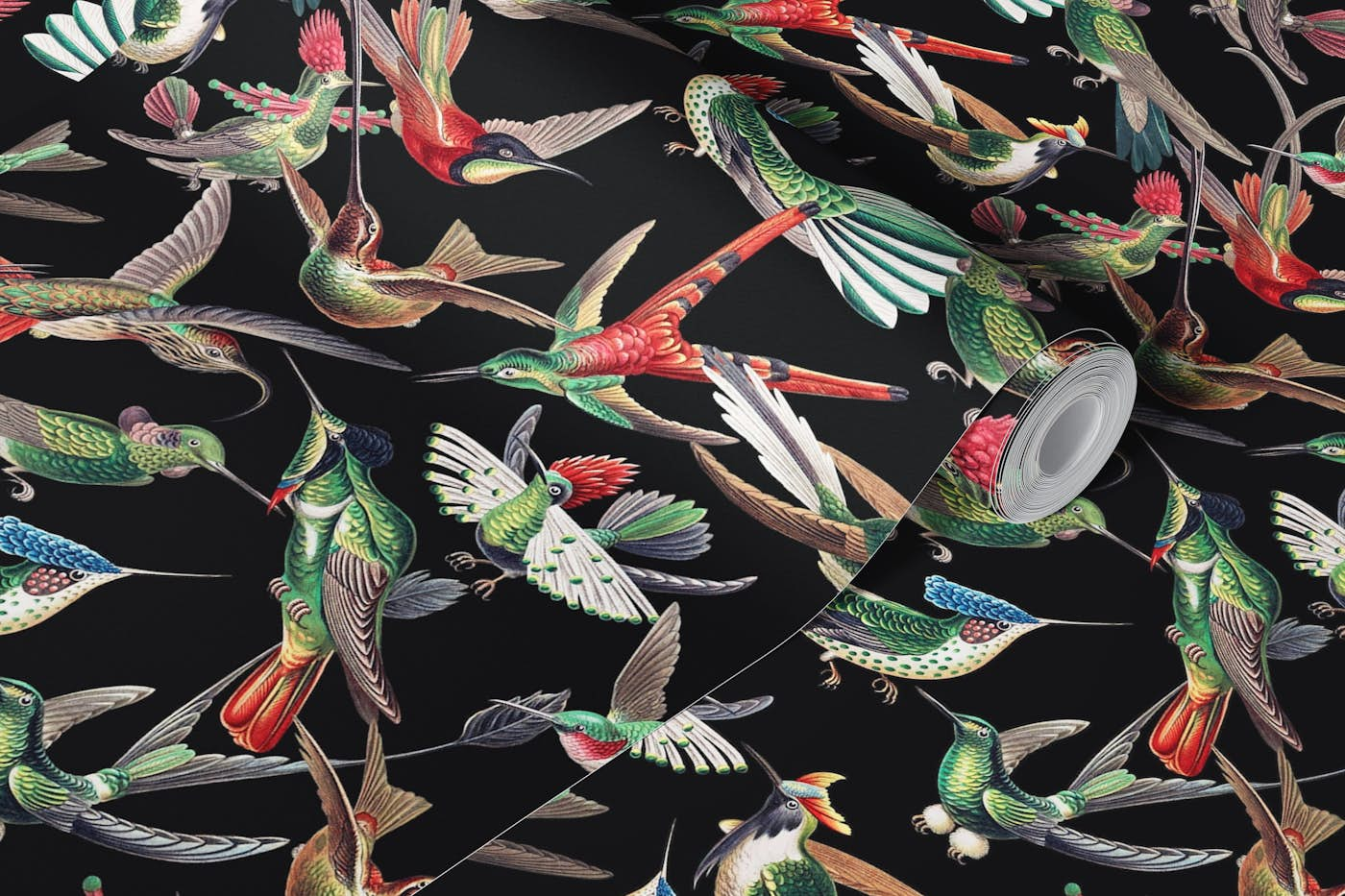 Flying Hummingbirds by Ernst Haeckel - Black wallpaper roll