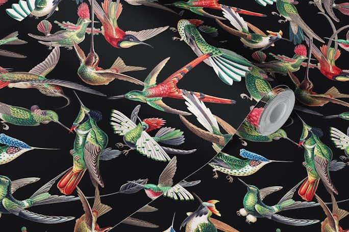 Flying Hummingbirds by Ernst Haeckel - Blackwallpaper roll