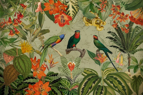 Exotic Parrots Jungle Landscape