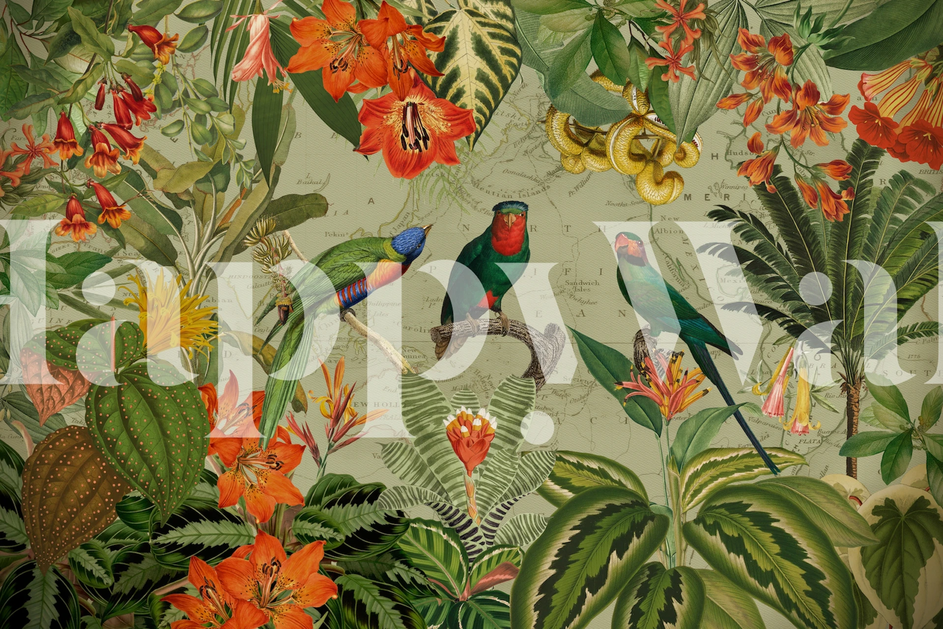Exotic Parrots wallpaper in een Jungle Landscape