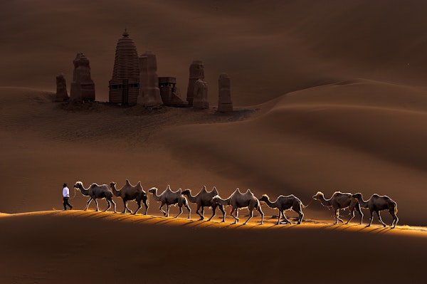 Castle and Camels