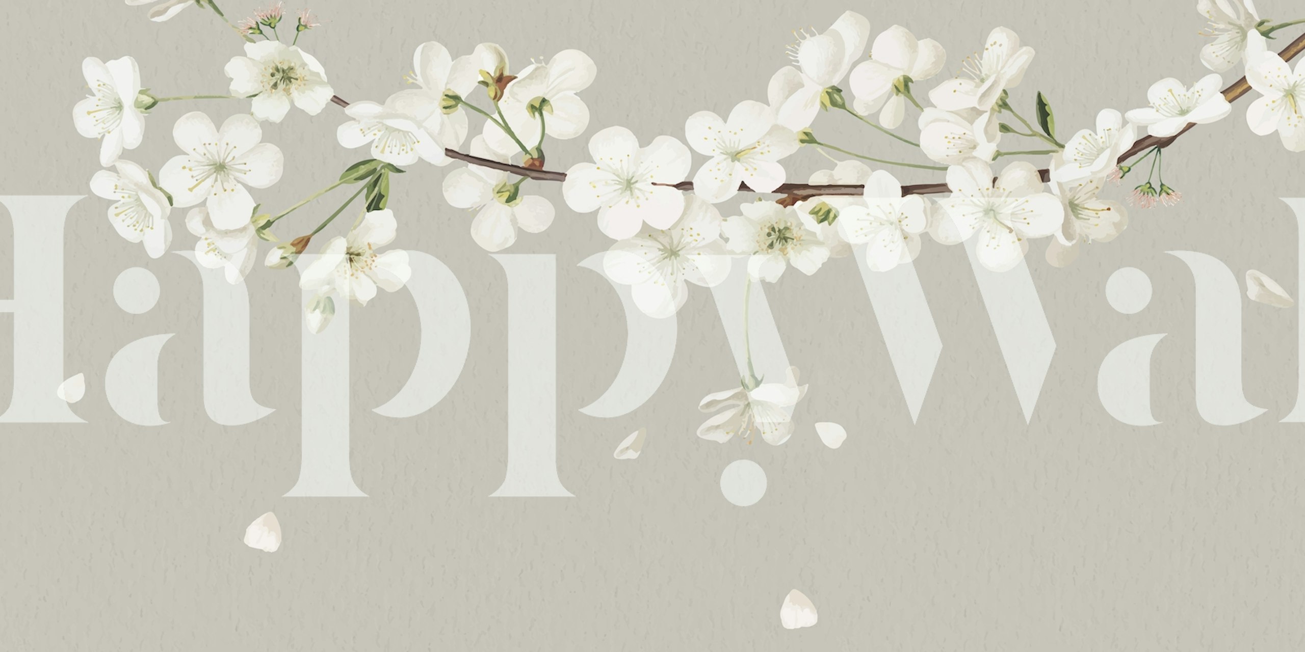 Fototapeta Bílé jarní květy na nahém pozadí