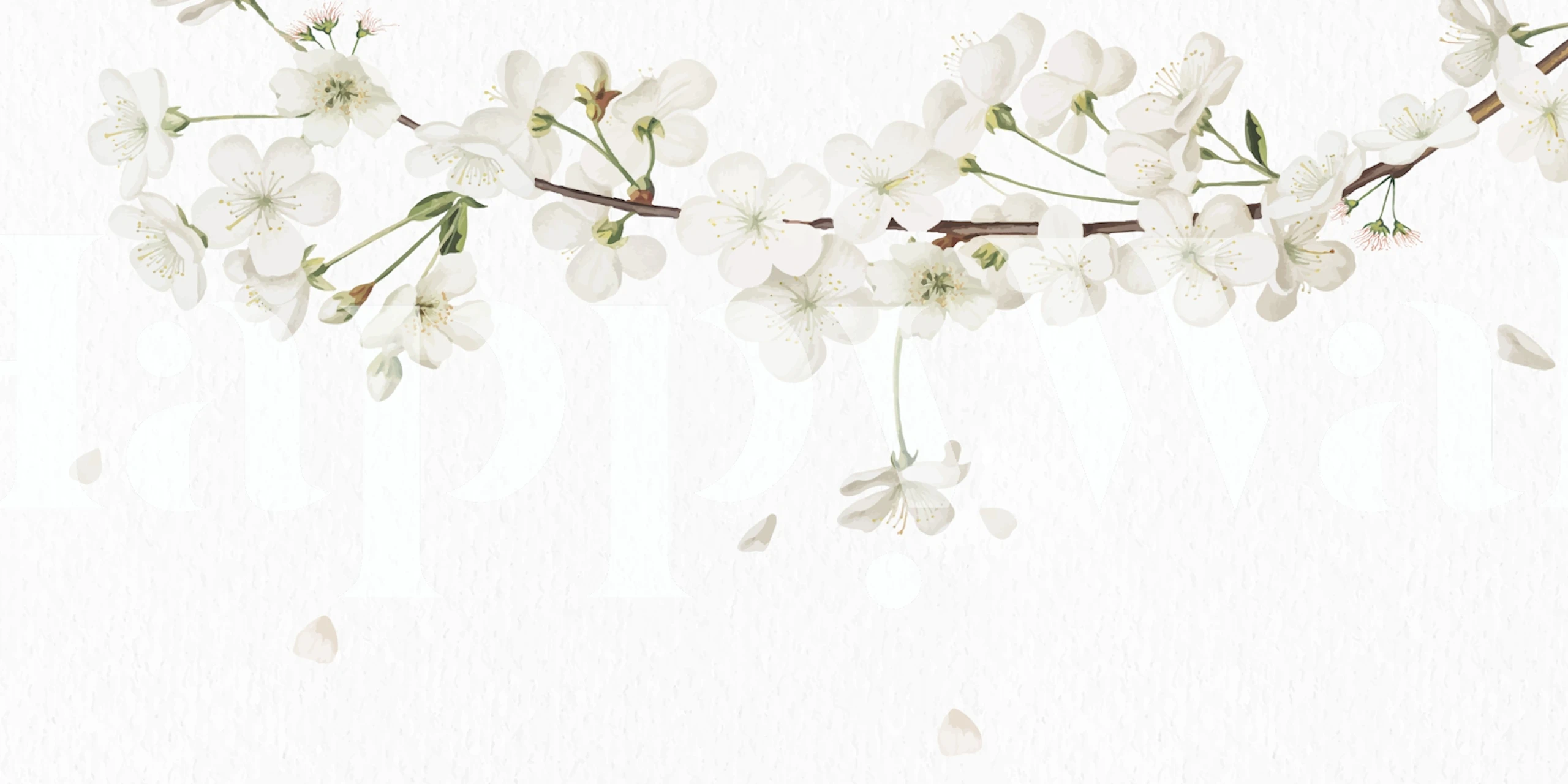 White floral wallpaper design in a room