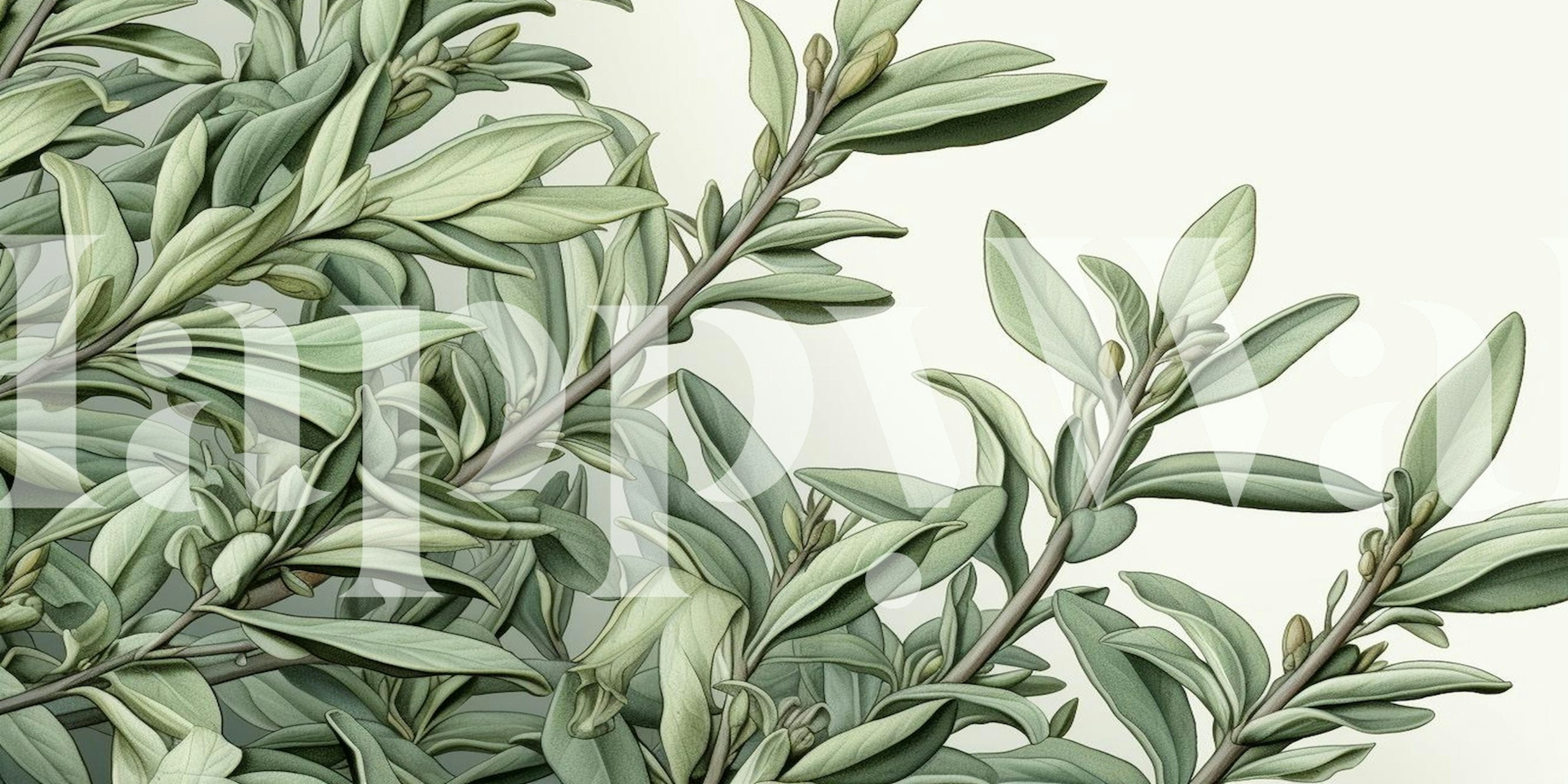 Botanical leaves in green tones on a light background wallpaper