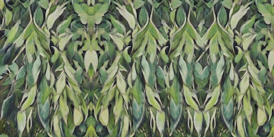Mural