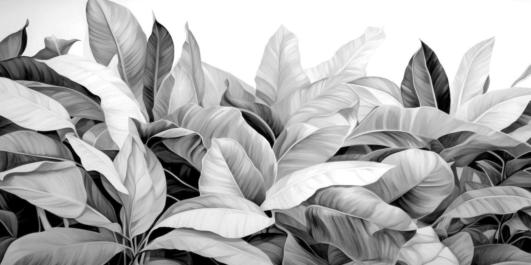 Buy Foliage Tropical White Wallpaper - Happywall.com