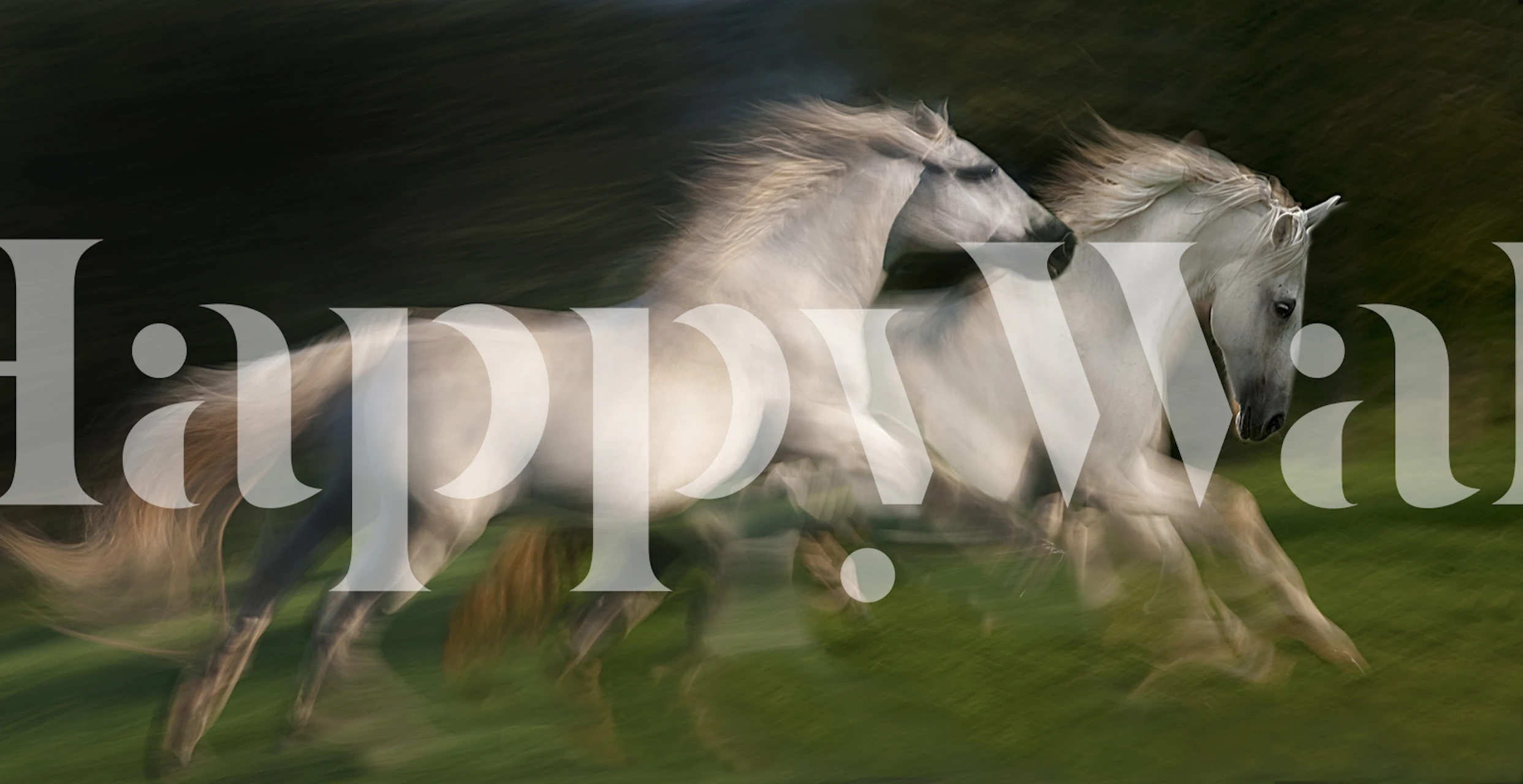 Galloping horses wallpaper in a room