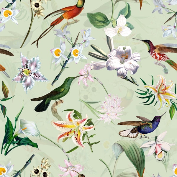 Tropical Vintage Hummingbird Jungle