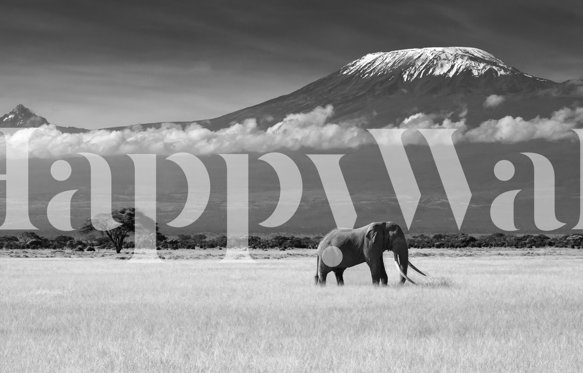 Black and white elephant in a savannah landscape wallpaper