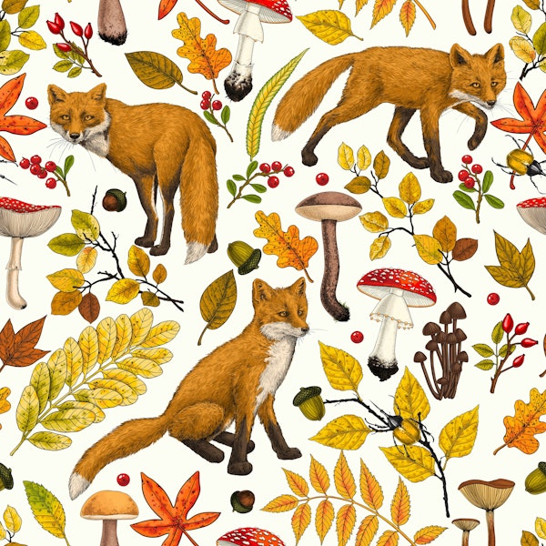 Autumn foxes on natural white