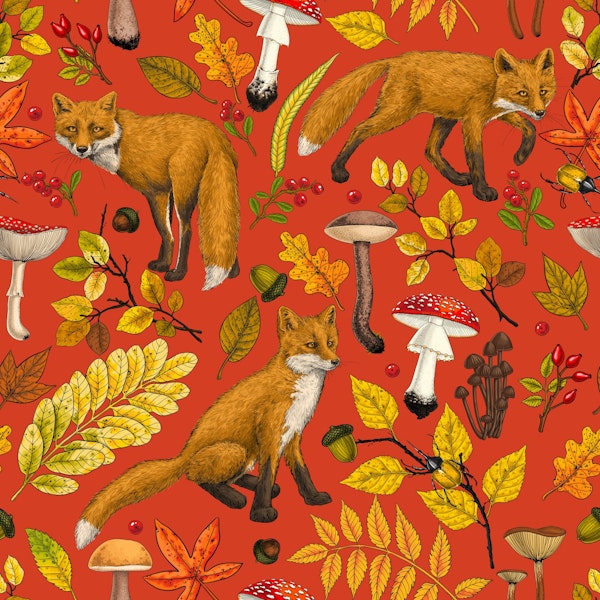 Autumn foxes on red