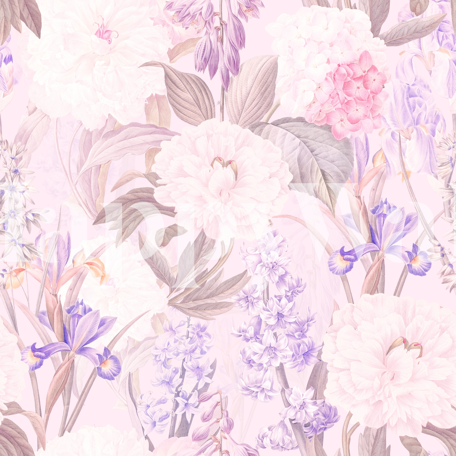 Buy Ixia Paeonia Wallpaper Online | Happywall.com