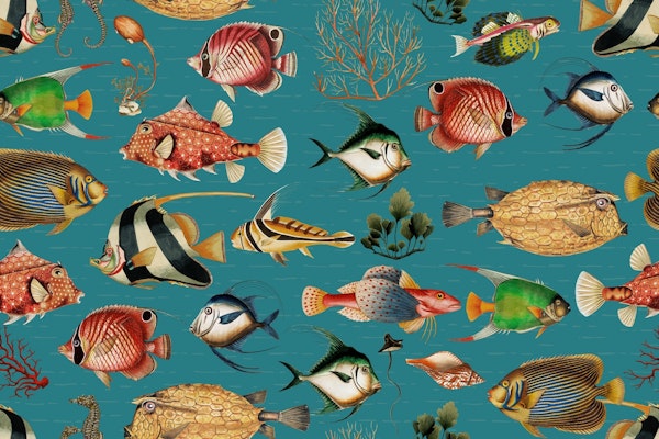 Oceania A Deep Dive into Navy Blue Secrets 2