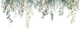 FLORAL ARRANGEMENTS WHITE