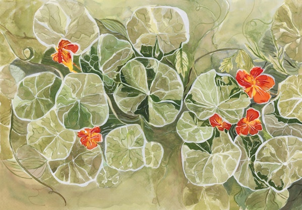 Nasturtium Tapestry