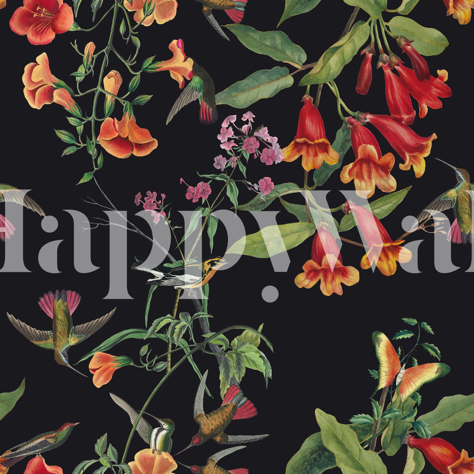 Hummingbirds and Flowers Black Background wallpaper - Free shipping ...