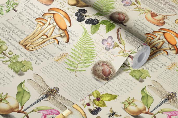 Botanical Treasures By Joris Hoefnagel Plants, Fruits And Calligraphywallpaper roll