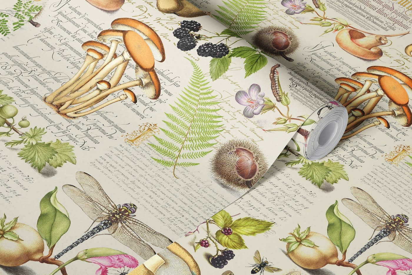 Botanical Treasures By Joris Hoefnagel Plants, Fruits And Calligraphy wallpaper roll