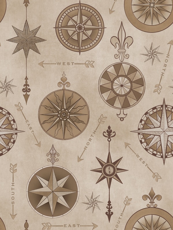 Explore The World Vintage Compass Art Beige