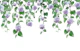 Pothos Ivy Rose Garland Dream 1