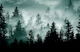 Teal Green Forest Dream 1