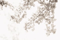 Ginkgo Leaves Dream 2 carta da parati