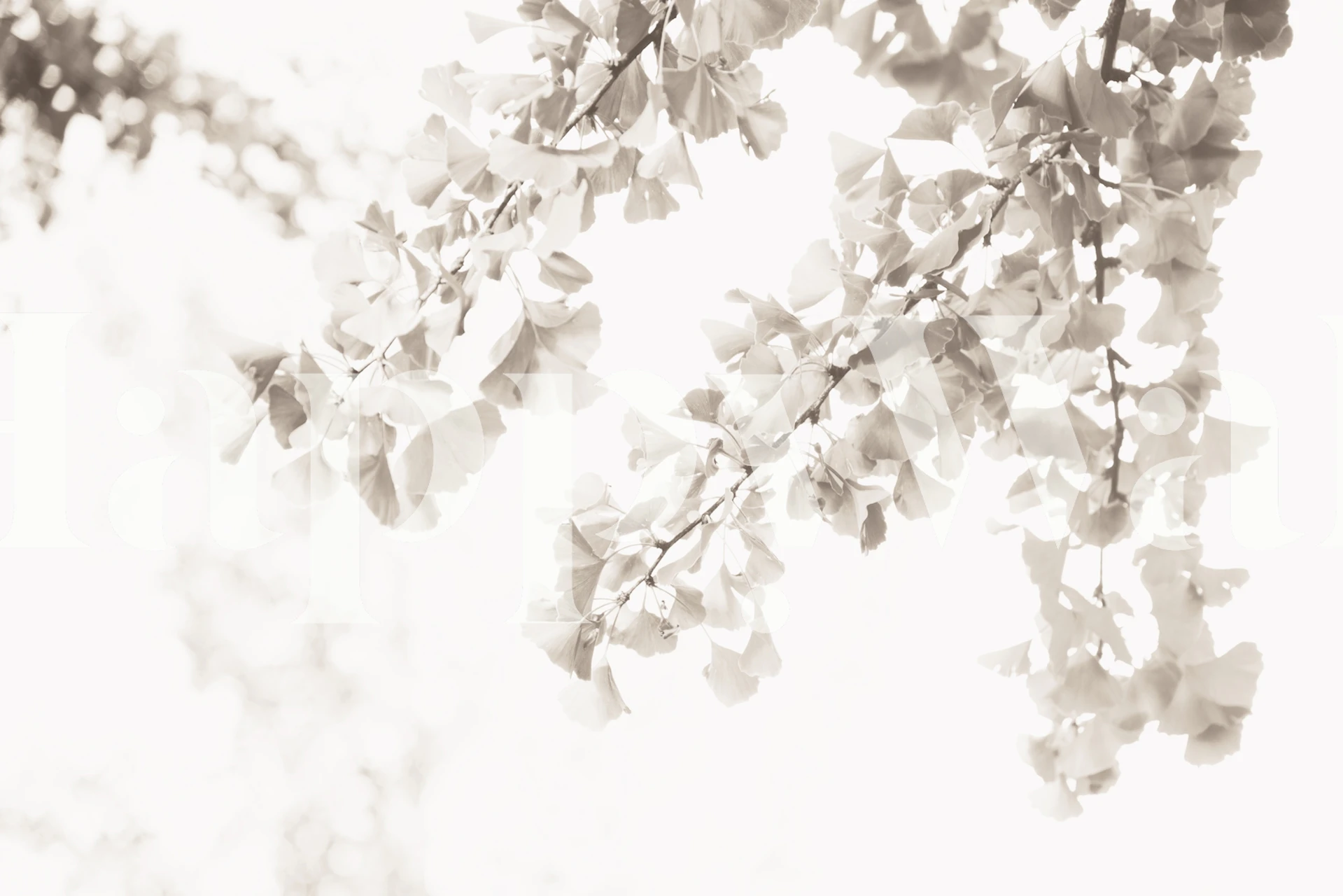 Ginkgo Leaves Dream 2 in een moderne kamer