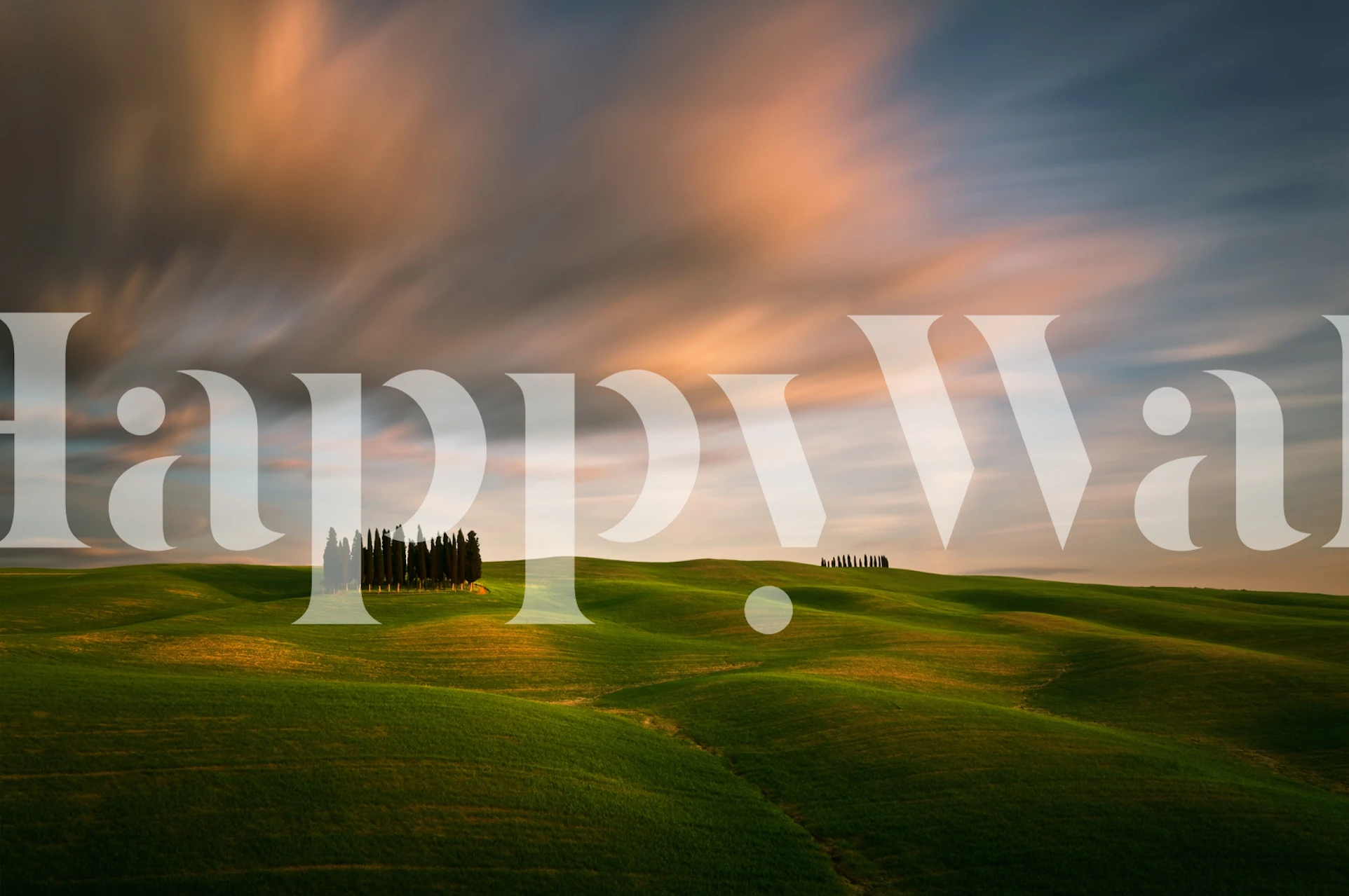 Fields wallpaper displayed in a room