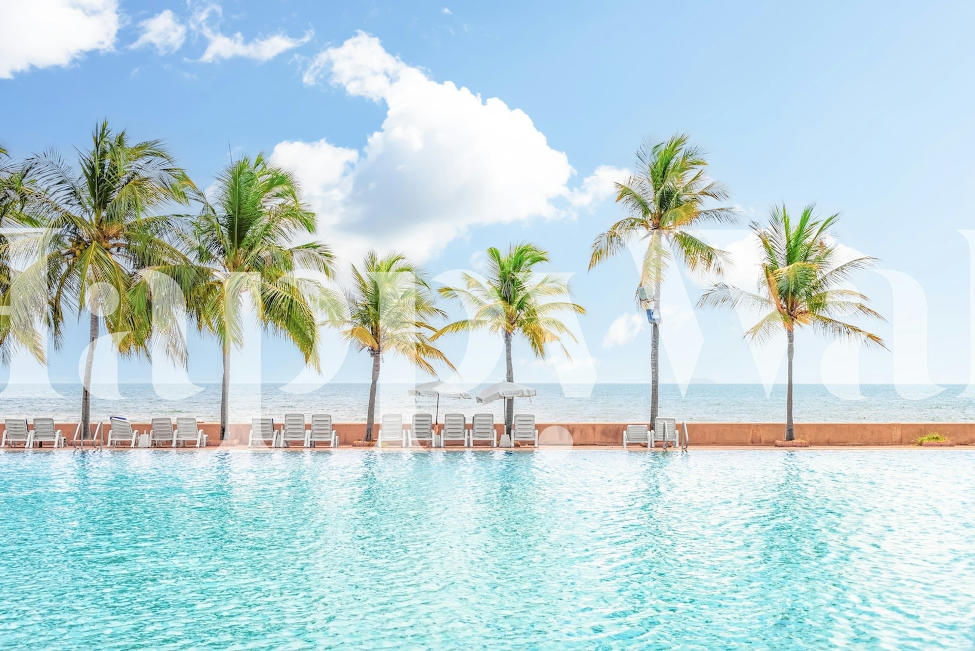 Tropical pool and beach wall mural with palm trees
