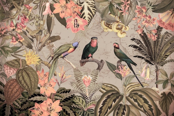 Exotic Sepia Parrots Jungle Landscape