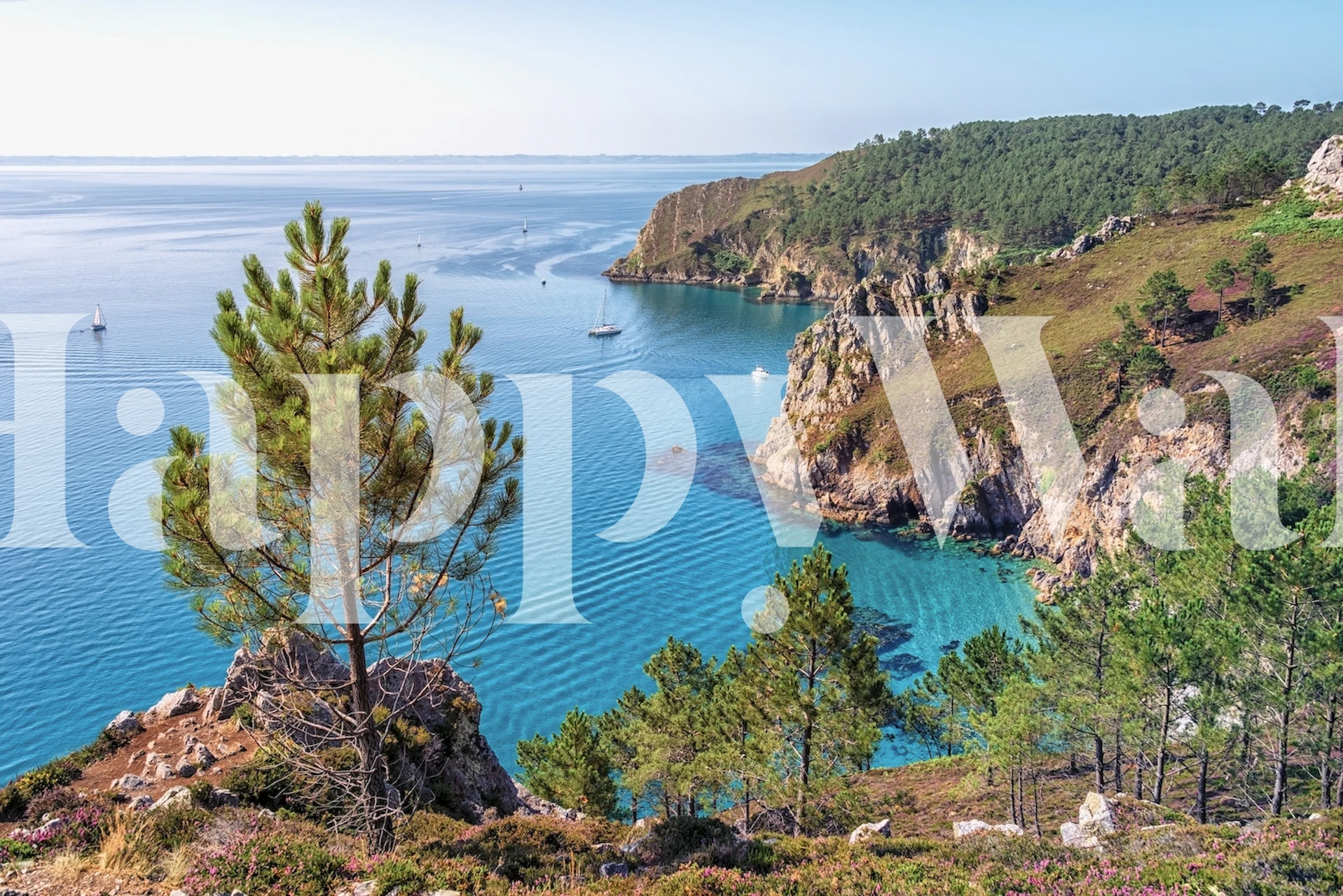 French Brittany wallpaper displayed in a room
