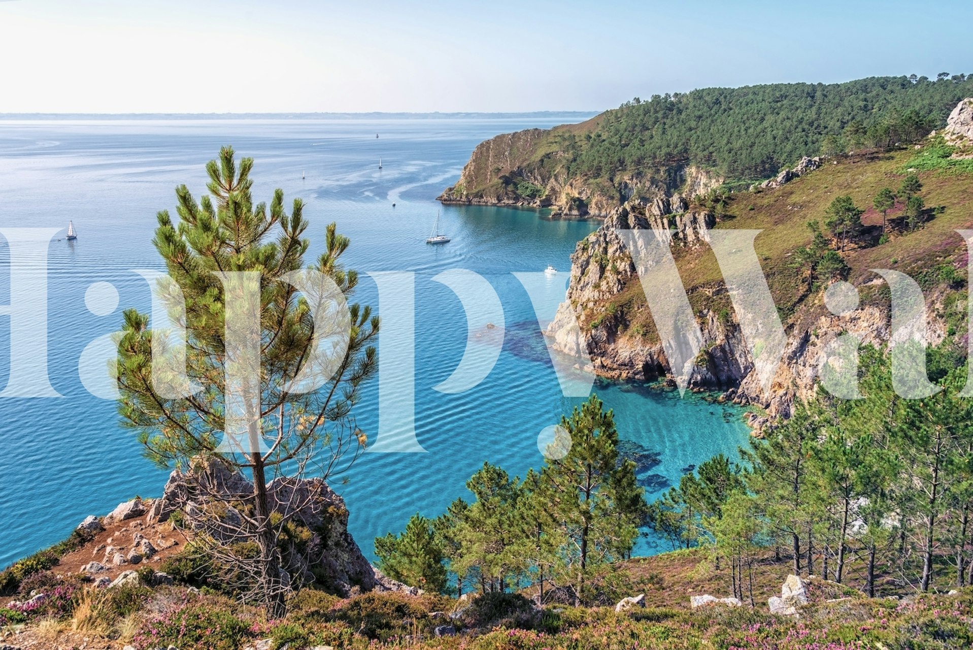 Papel de parede French Brittany exibido em um quarto