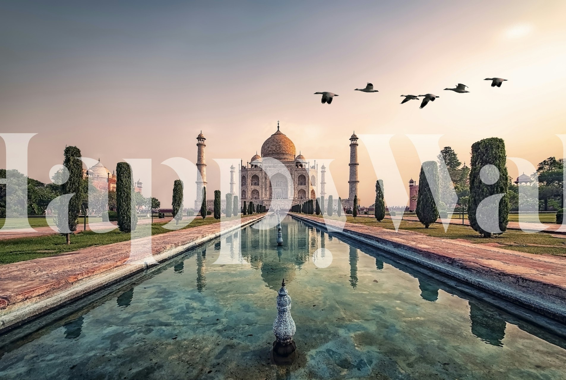 Flight over the Taj Mahal wallpaper in a room