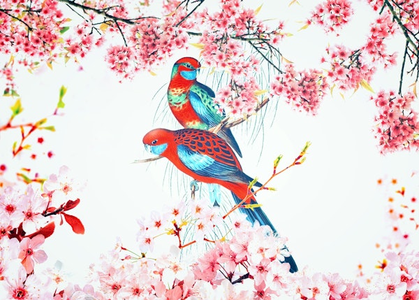 Birds In Spring
