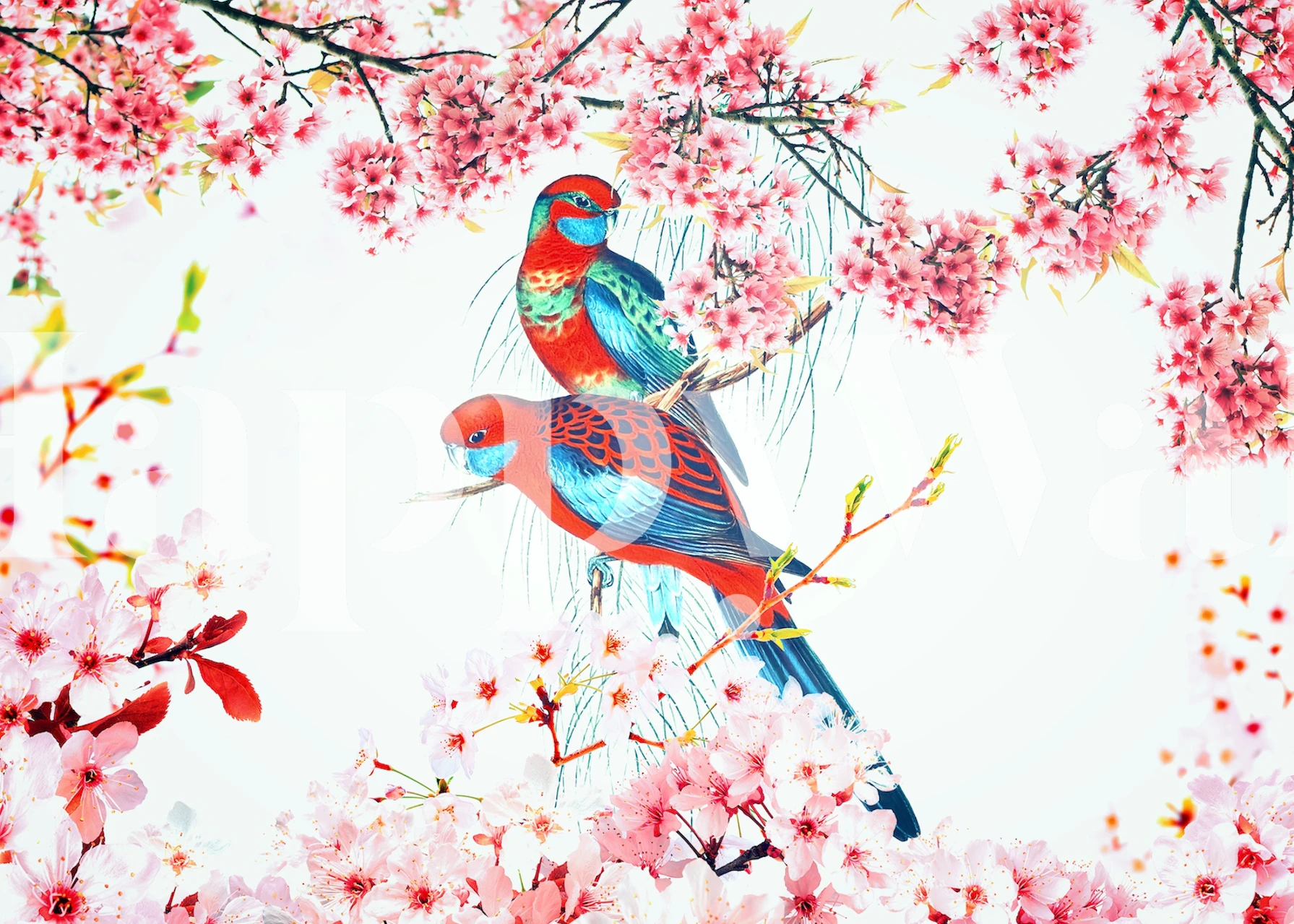 Colorful birds perched on pink cherry blossoms wallpaper
