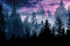 Forest Galaxy Dream 1