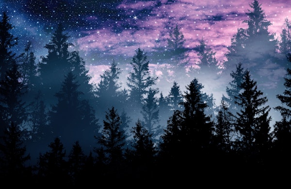 Forest Galaxy Dream 1